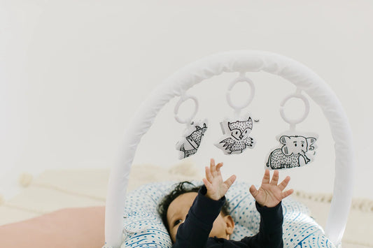 DockATot Toy Arch - Cheeky Chums